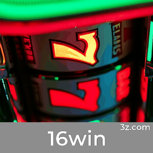 16win 